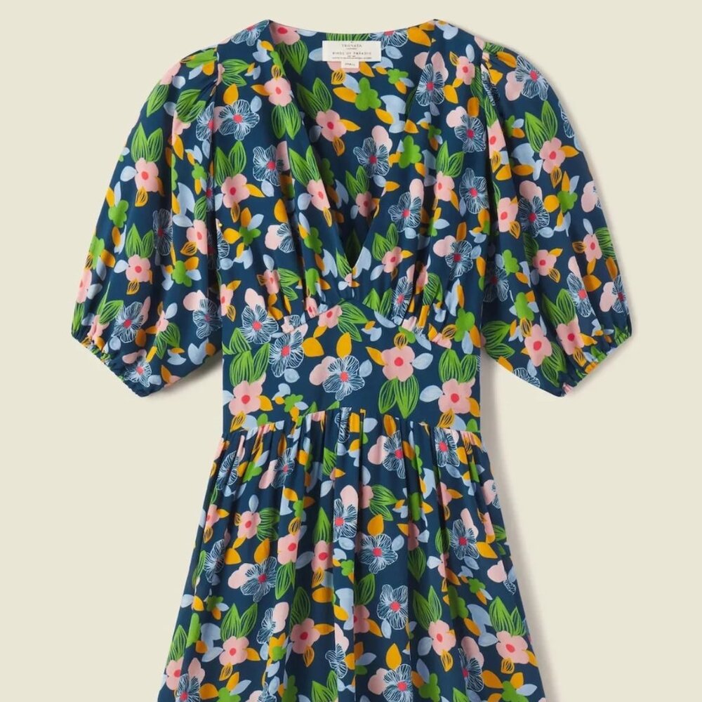 Birds of Paradis by Trovata Gia Dress
